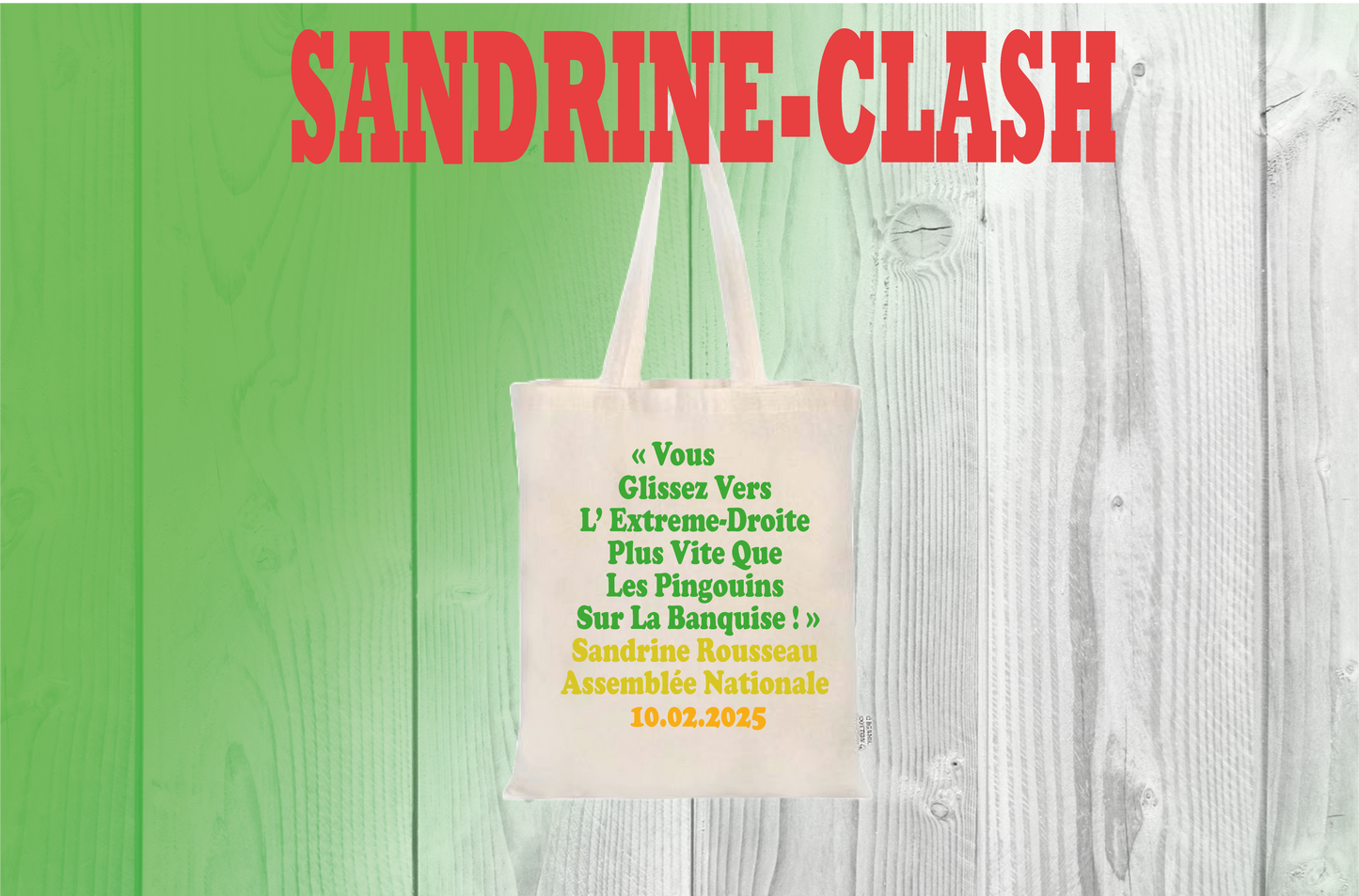 4/ Quote BAG Sandrine Clash  "VOUS GLISSEZ VERS L’ EXTREME-DROITE PLUS VITE QUE LES PINGOUINS SUR LA BANQUISE !"