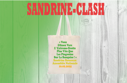 4/ Quote BAG Sandrine Clash  "VOUS GLISSEZ VERS L’ EXTREME-DROITE PLUS VITE QUE LES PINGOUINS SUR LA BANQUISE !"